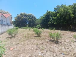 CORONADO / 1249 M / TERRENO PLANO / CLUB DE GOLF / AG