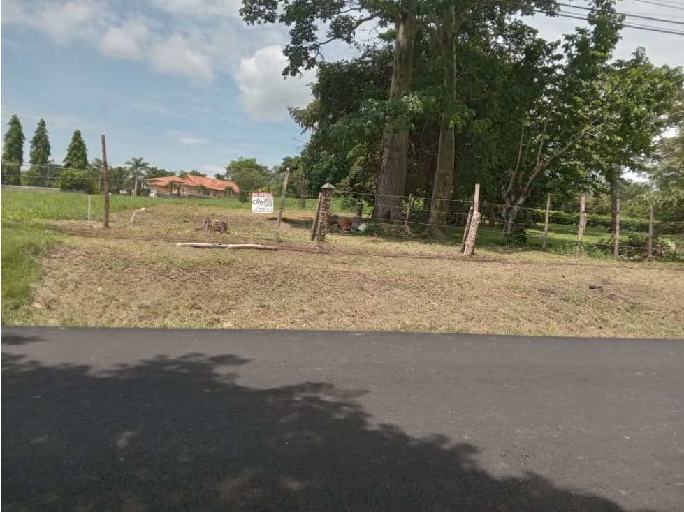 CHAME / CABUYA / 701M / TERRENO / SOBRE LA VIA / AG — foto 3