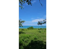 NUEVA GORGONA / MALIBU / 1000M / FRENTE AL MAR / AG