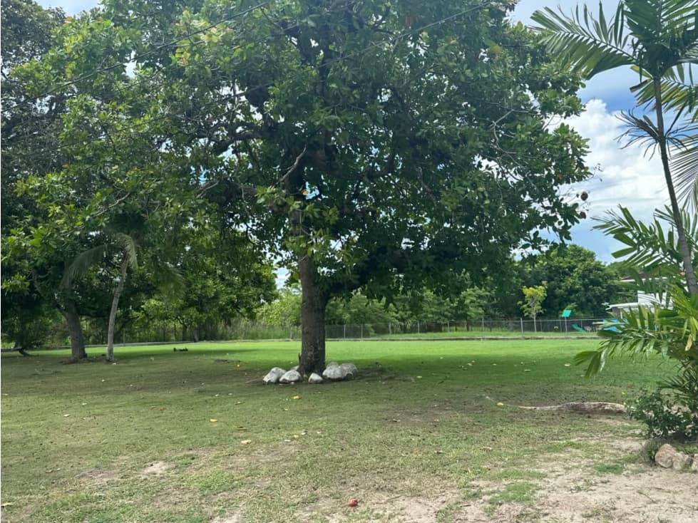 TERRENO / CHAME / 2500 M2 / CORONADO / DOS FINCAS — foto 3