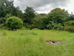 TERRENO / CHAME / 3200 M2 / LOTE PLANO / VÍA ASFALTADA