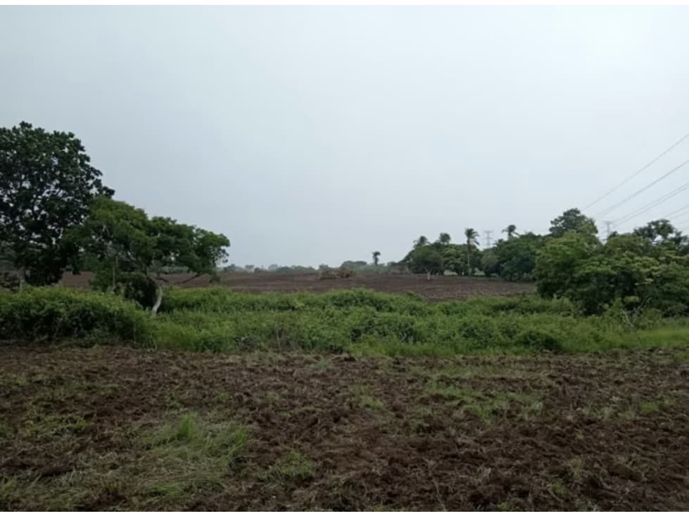 FINCA / COCLE / ANTON / 5.5 HECTAREAS / CON POZO — foto 3
