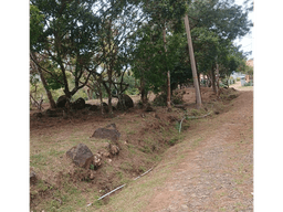 TERRENO / CHAME / CHICA / 2165 M2 / VIA ASFALTADA / CLIMAS FRESCOS