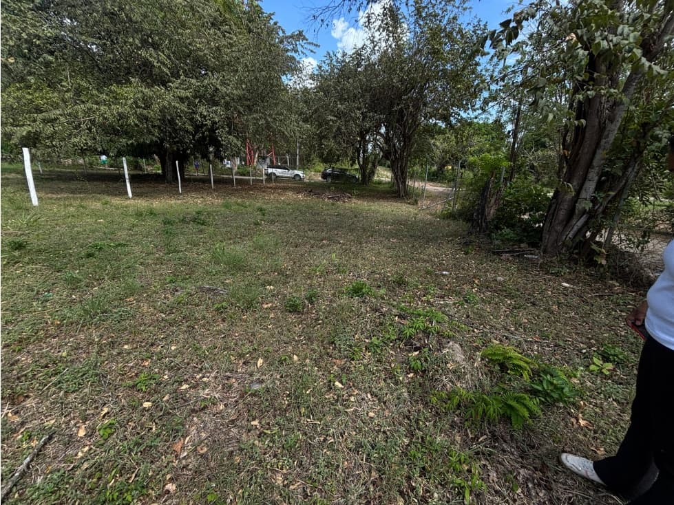 GORGONA / CHAME / CERCA DE PLAYA / TERRENO / 337M / PLANO — foto 4