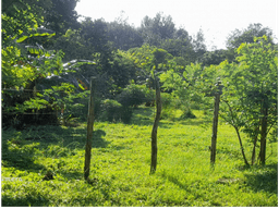 CHAME / SORÁ / 786M / TERRENO / SOBRE CALLE / IDEAL PARA DESARROLLO