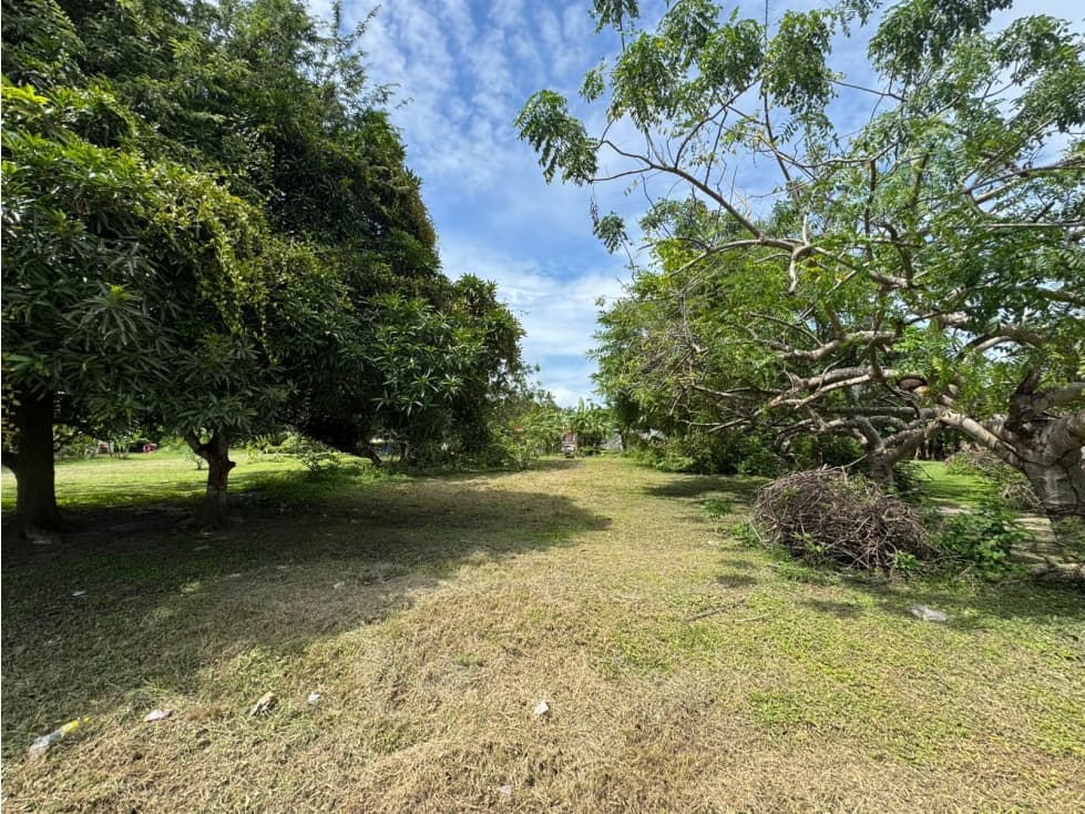 CHAME / GORGONA / CERCA DE PLAYA / 600M / TERRENO PLANO — foto 5