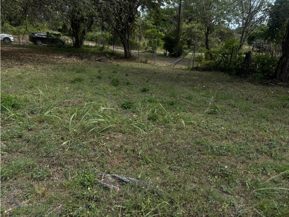 GORGONA / CHAME / CERCA DE PLAYA / TERRENO / 337M / PLANO — foto 6
