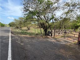 CHAME / VIA ALTOS DEL MARIA / 7 HECTAREAS / FRENTE A CALLE