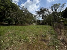 SE VENDE TERRENO PLANO EN GORGONA CHAME CERCA DE PLAYA DE 360M
