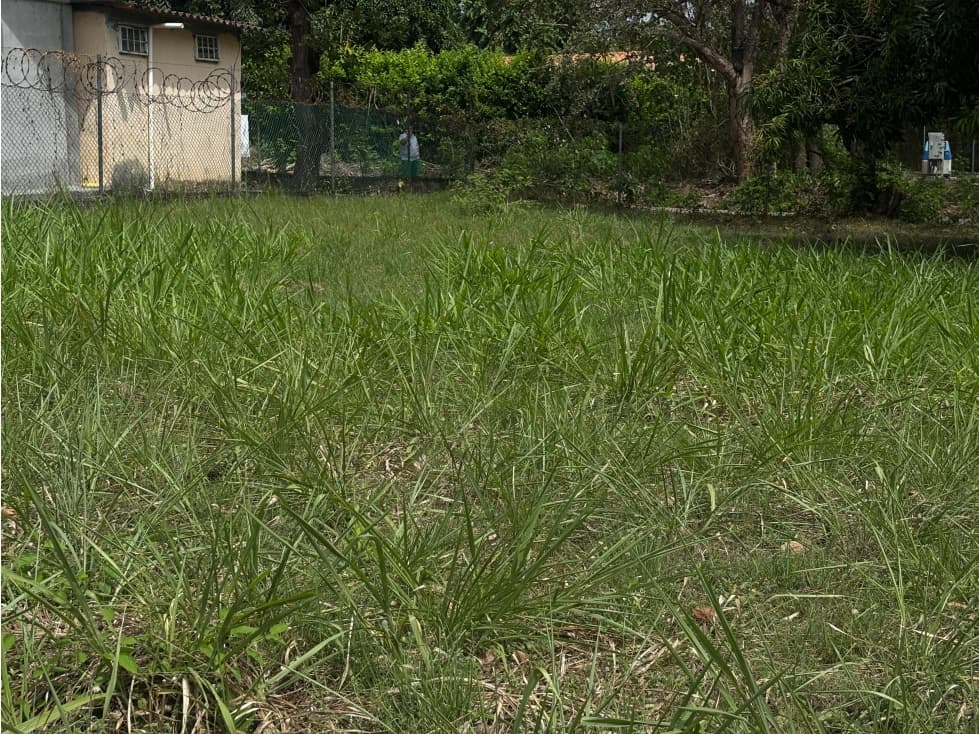 GORGONA / CHAME / CERCA DE PLAYA / TERRENO / 337M / PLANO — foto 2