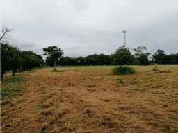 TERRENO / CORONADO BOULEVARD / 3 FINCAS / CERCA DEL MAR