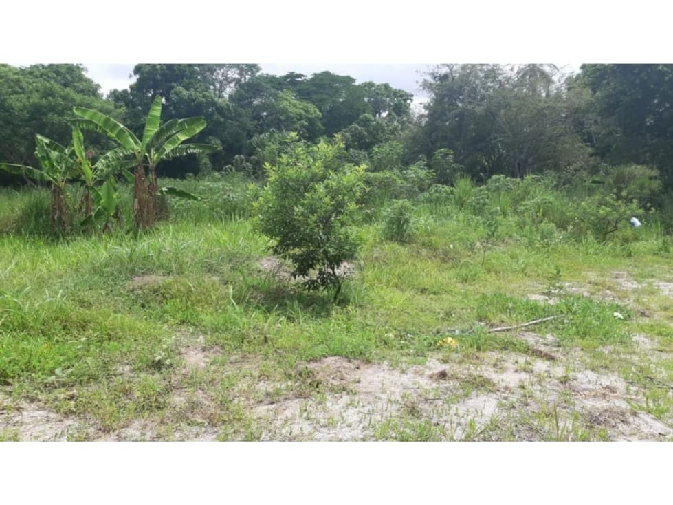 PLAYA CORONA / TERRENO / 5914M2 / CERCA DE LA PLAYA — foto 4