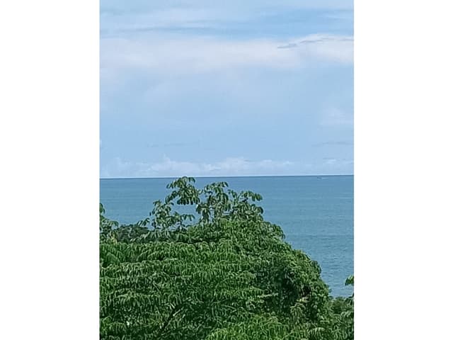SE VENDE TERRENO 4 HECTÁREAS EN SAN CARLOS PIEDRAS GORDAS VISTA AL MAR