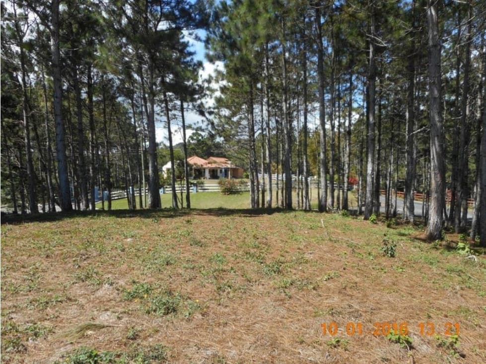 CHAME / SORÁ / ALTOS DEL MARIA / 2497 M2 / LOTE PLANO — foto 4