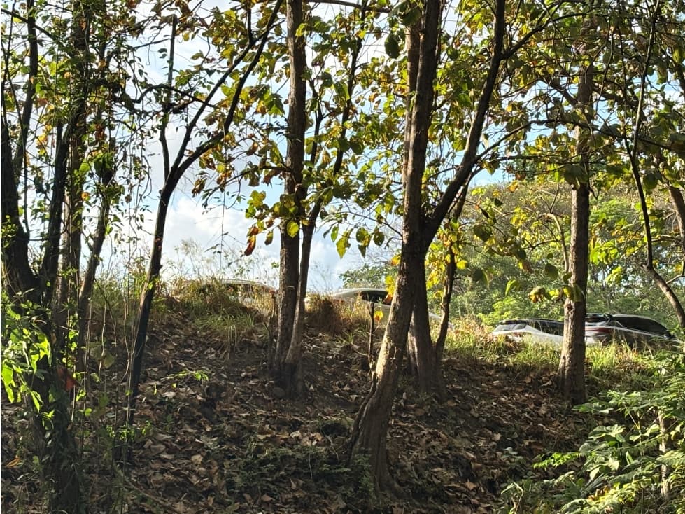 FINCA / GORGONA / 5 HECTAREA / INTERAMERICANA PRINCIPAL / CERCA AL MAR — foto 6