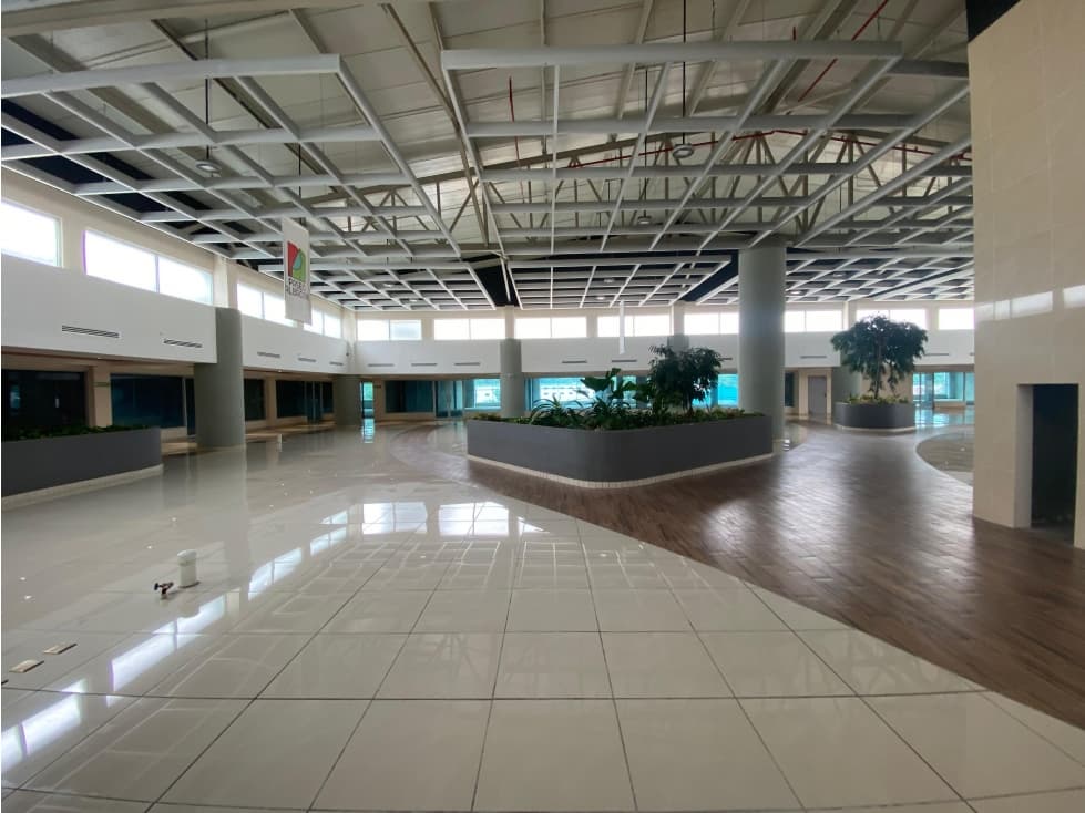 ALBROOK / LOCAL COMERCIAL / 266M / PASEO ALBROOK / PLANTA BAJA — foto 4
