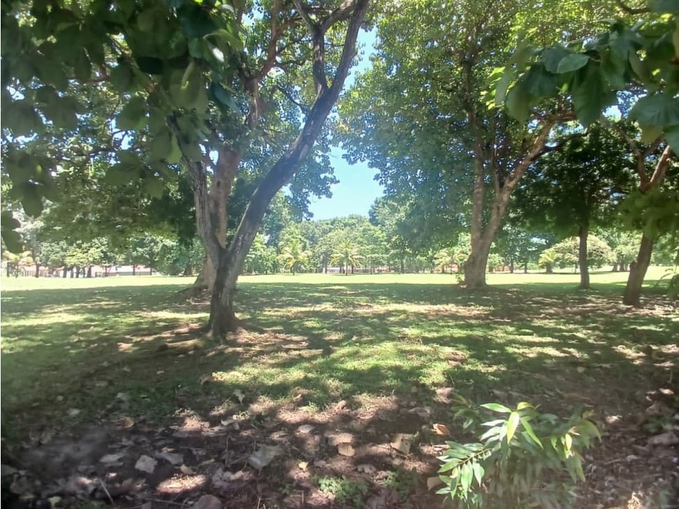 CORONADO / 1249 M / TERRENO PLANO / CLUB DE GOLF / AG — foto 4