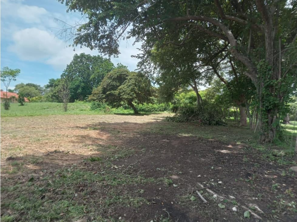 CHAME / CABUYA / 701M / TERRENO / SOBRE LA VIA / AG — foto 4