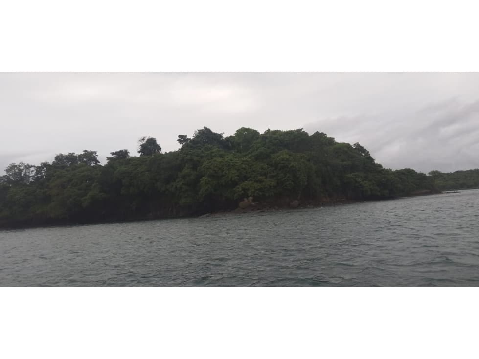 REMATE / ISLA COMPLETA / ARCHIPIELAGO DE LAS PERLAS / 17 HECTAREAS — foto 2