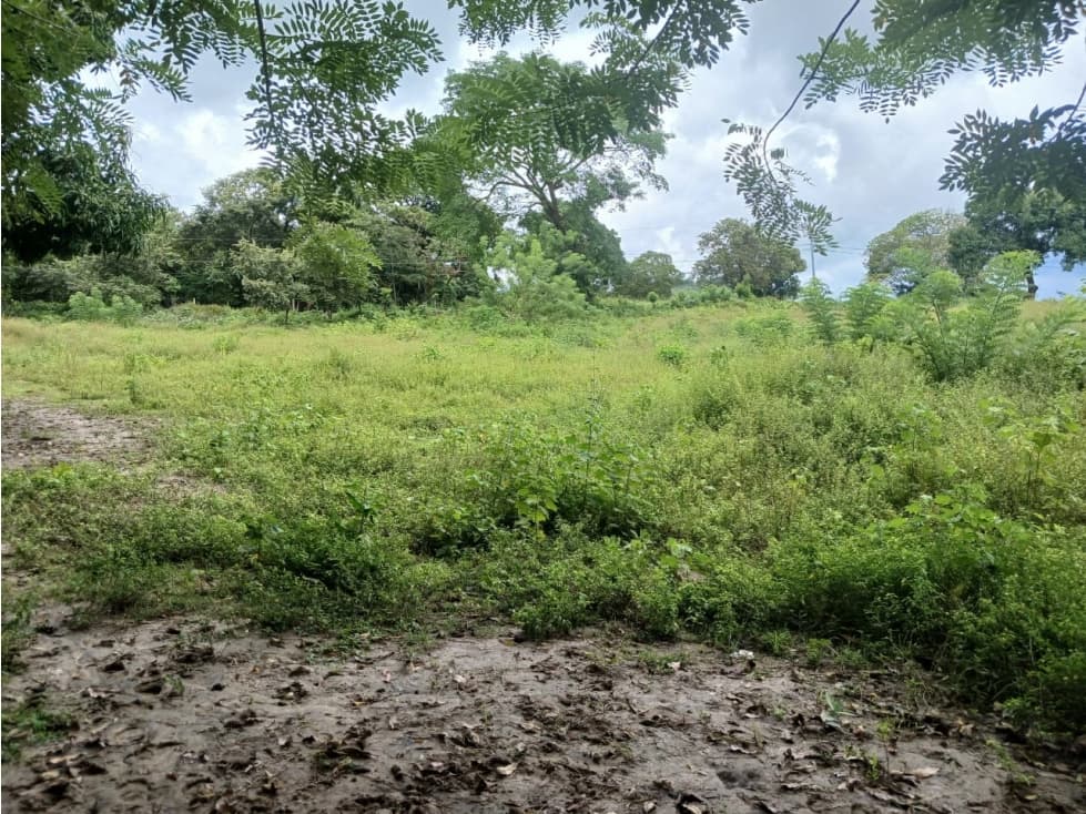 LAS LAJAS / CHAME / TERRENO / 1000 M / AG — foto 1