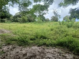 LAS LAJAS / CHAME / TERRENO / 1000 M / AG
