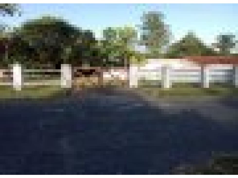 CORONADO / SECTOR LOS GUAYACANES / TERRENO CERCADO / 1300M2 — foto 4
