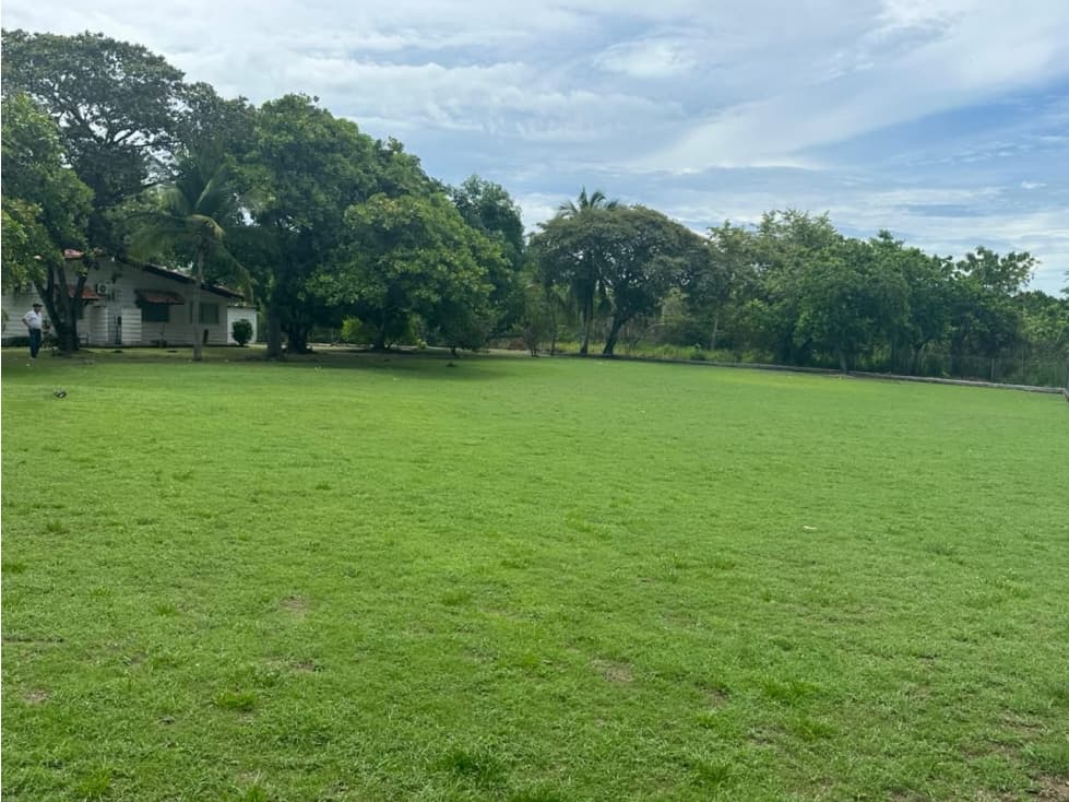 TERRENO / CHAME / 2500 M2 / CORONADO / DOS FINCAS — foto 4