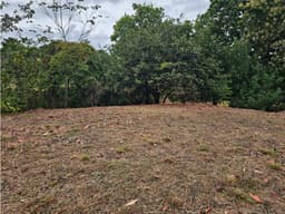 TERRENO / SAN CARLOS / SAN JOSE / 771 M2 / ARBOLES FRUTALES / BOHIO