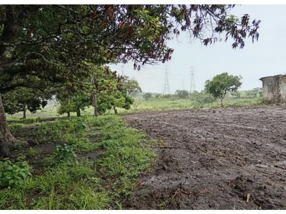 FINCA / COCLE / ANTON / 5.5 HECTAREAS / CON POZO — foto 4