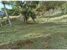 TERRENO / ALTOS DEL MARIA / SANTIAGO APOSTOL / 2621 M2 / AMPLIO