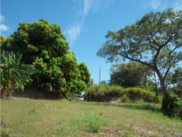 SE VENDE TERRENO EN CORONADO 1543 M2 CON VIA ASFALTADA