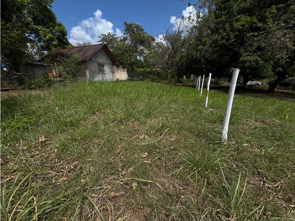 GORGONA / CHAME / TERRENO PLANO / 360M / CERCA DE PLAYA — foto 1