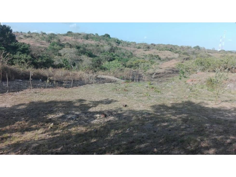TERRENO / SAN CARLOS / EL NANCE / 7000M2 / ACCESO AL RIO — foto 3