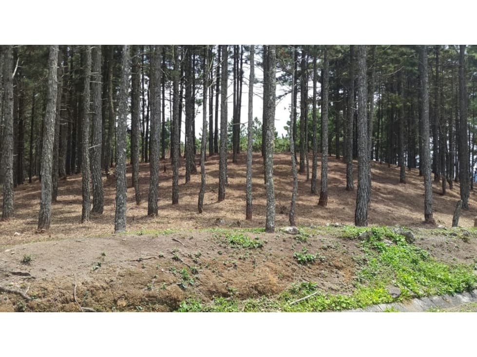 CHAME / SORÁ / ALTOS DEL MARIA / 2497 M2 / LOTE PLANO — foto 5