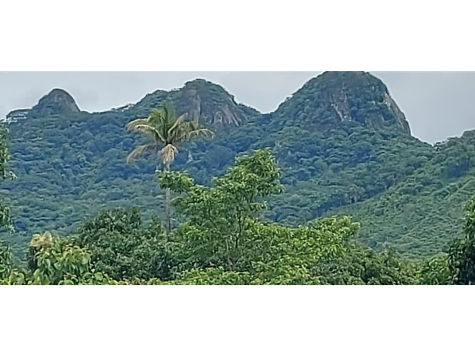TERRENO / CHAME / EL ESPAVE / 4560 M2 / TOTALMENTE PLANO — foto 5