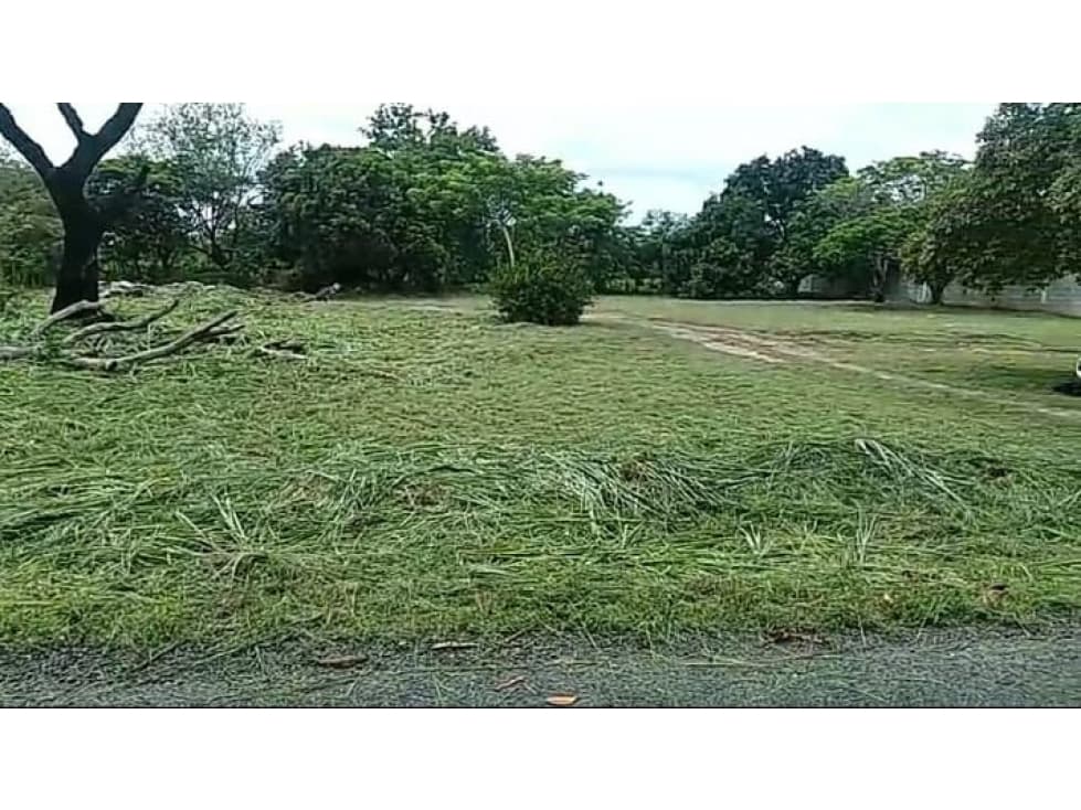 TERRENO / CHAME / GORGONA / 2000M / PLANO /JC — foto 5