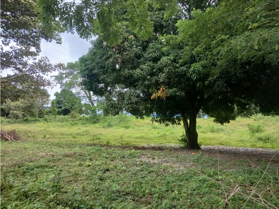 LAS LAJAS / CHAME / TERRENO / 1000 M / AG — foto 5