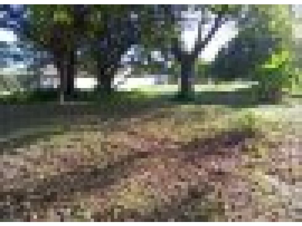 CORONADO / SECTOR LOS GUAYACANES / TERRENO CERCADO / 1300M2 — foto 5