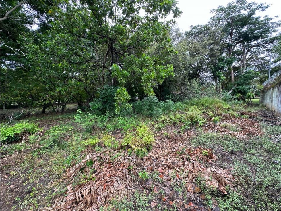 TERRENO / CHAME / CORONADO / 995 M2 / PLANO / CERCA DE PLAYAS — foto 5