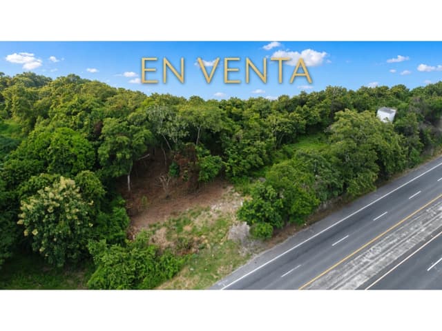 SAN CARLOS / LAS UVAS / 600 M2 / TERRENO PLANO / SOBRE VIA PRINCIPAL