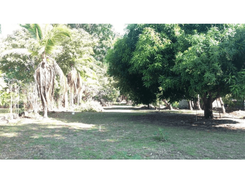 CORONADO / TERRENO A POCOS MINUTOS DE LA PLAYA / 1158M2 — foto 6