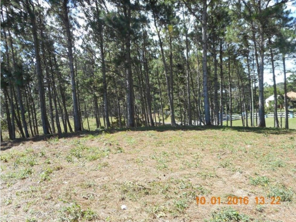 CHAME / SORÁ / ALTOS DEL MARIA / 2497 M2 / LOTE PLANO — foto 6
