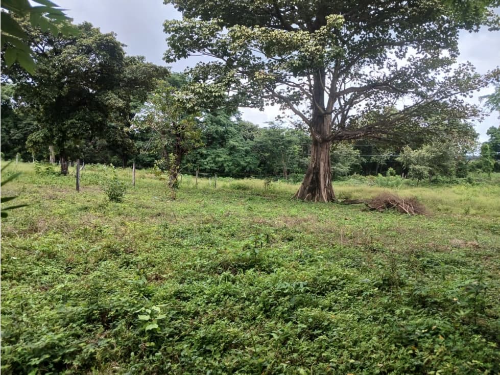 LAS LAJAS / CHAME / TERRENO / 1000 M / AG — foto 6