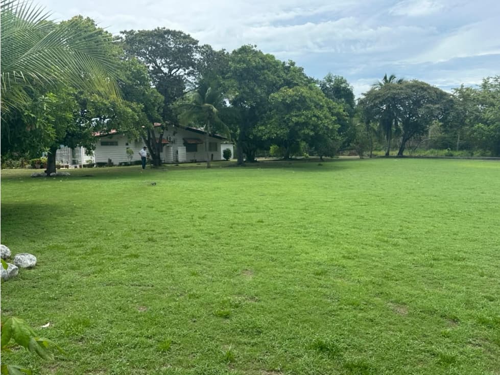 TERRENO / CHAME / 2500 M2 / CORONADO / DOS FINCAS — foto 6