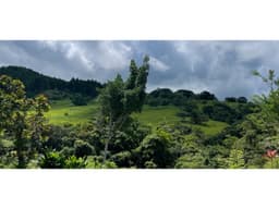 CHAME / SORA / 13.9 HECTAREAS / FINCA / VIA ASFALTADA / CLIMAS FRESCOS
