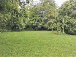 SE VENDE TERRENO EN CHAME BEJUCO 1572 M2 PLANO CON ZONAS VERDES