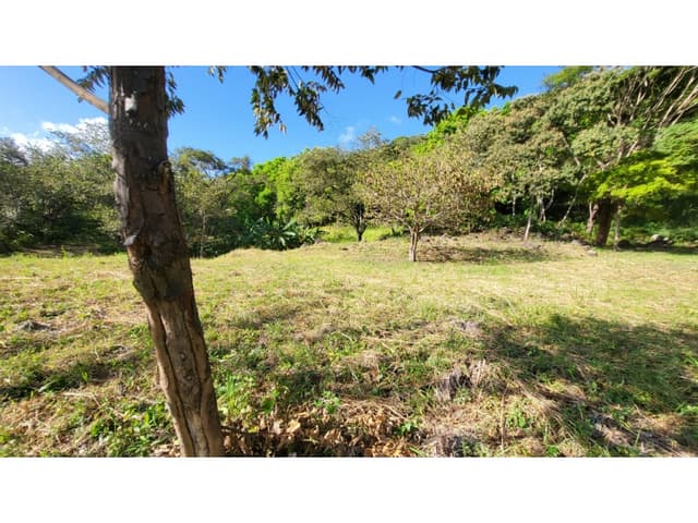 SE VENDEN 2 LOTES 4754 M2 EN SAN CARLOS VIA A LA LAGUNA TITULADOS