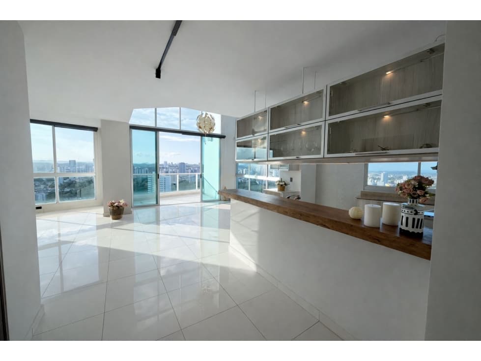 VENTA DE APARTAMENTO LUXURY PH PARK LOFT EN SAN FRANCISCO — foto 1