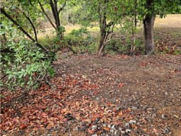 TERRENO / SAN CARLOS / SAN JOSE / 771 M2 / ARBOLES FRUTALES / BOHIO