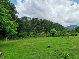 CHAME / FINCA EN BEJUCO / 10 HECTAREAS / CERCA DE LA INTERAMERICANA